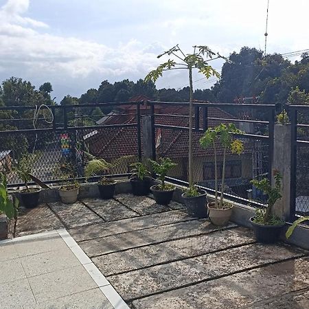 Puri Pilihani Hostel 姆杜克 外观 照片